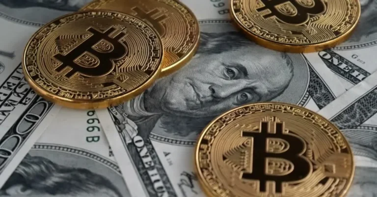 biitland.com Stablecoins