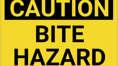 warning about bite slogan okz